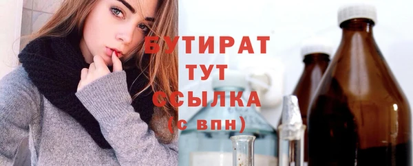мдпв Гусев