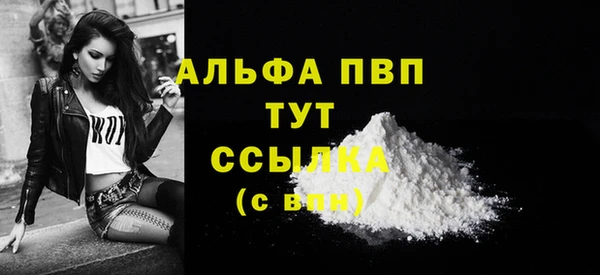 мдпв Гусев