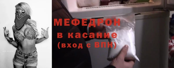 мдпв Гусев