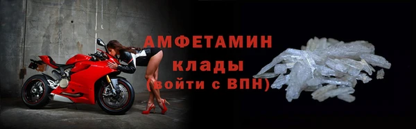мдпв Гусев