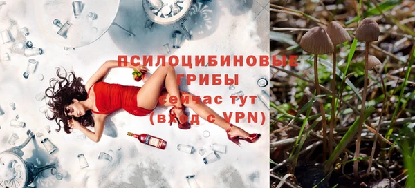 мдпв Гусев