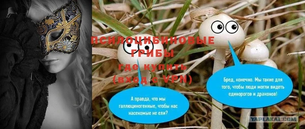 герыч Гусь-Хрустальный