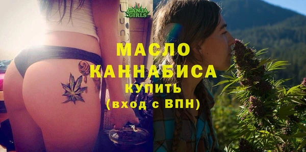 мдпв Гусев