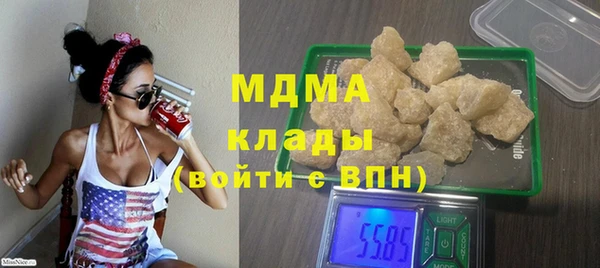 мдпв Гусев