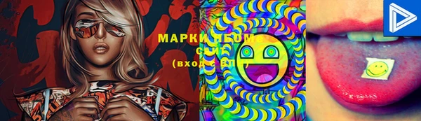 мдпв Гусев