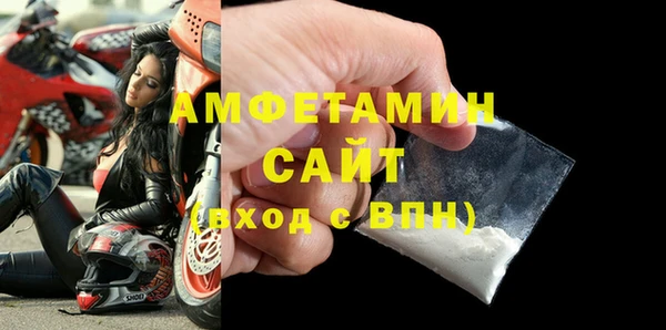 мдпв Гусев